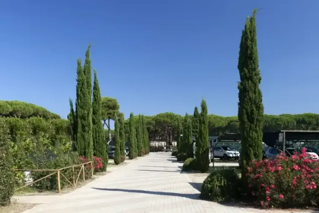 Camping Village Africa 2