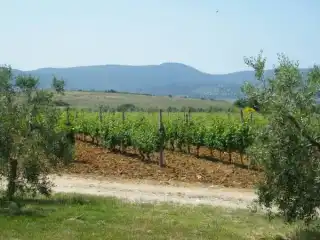 Agriturismo Le Colline Del Parco