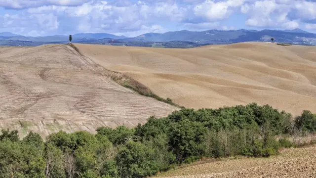 Attività imperdibili al mare di Rosignano Marittimo