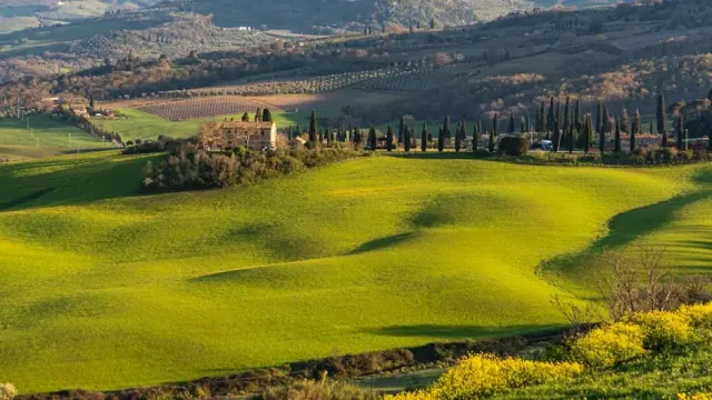 Attività imperdibili sul mare di San Vincenzo