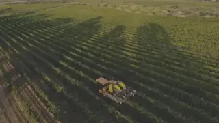 Azienda Vinicola Bruni