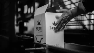 Azienda Vinicola Bruni