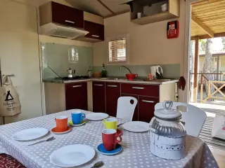 New Camping Le Tamerici