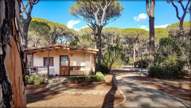 Campeggio Cielo Verde 2