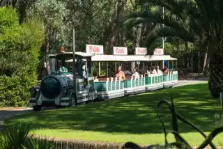 Campeggio Cielo Verde