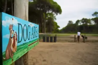 Campeggio Cielo Verde