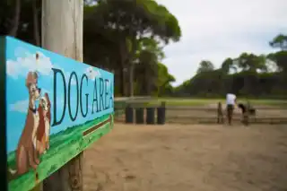 Campeggio Cielo Verde