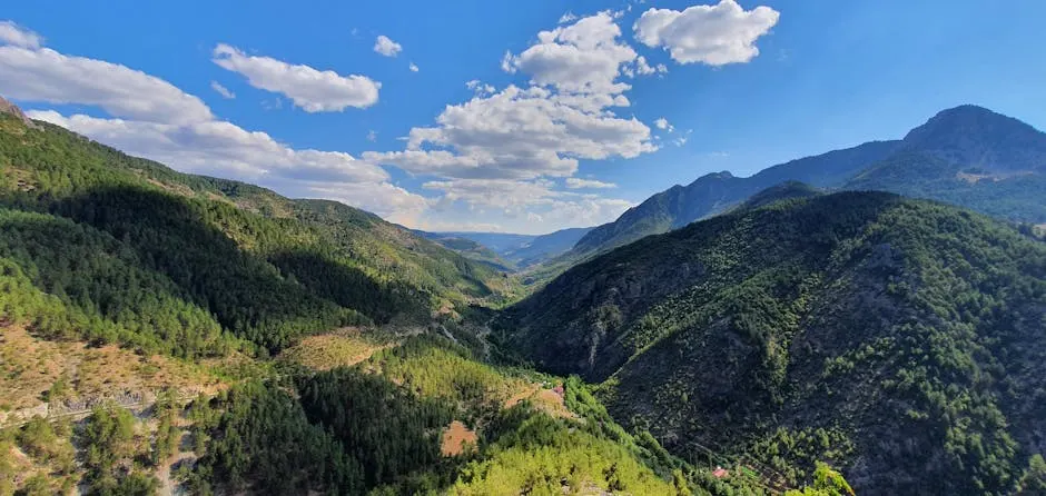 Gastronomia capalbiese: un viaggio nei sapori