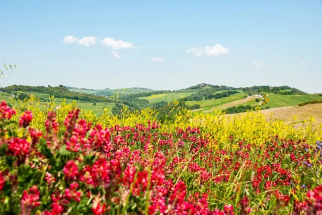 Consigli di viaggio a Follonica: guida turistica dal taglio