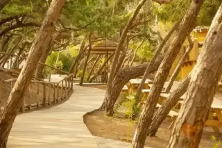 CSA Hotel Beach Park