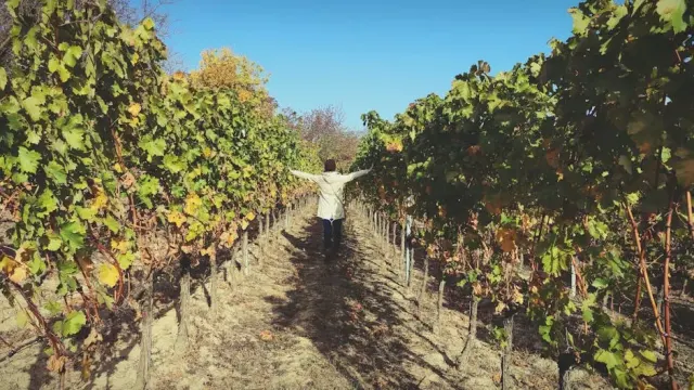 Cucina e vini di Orbetello da non perdere