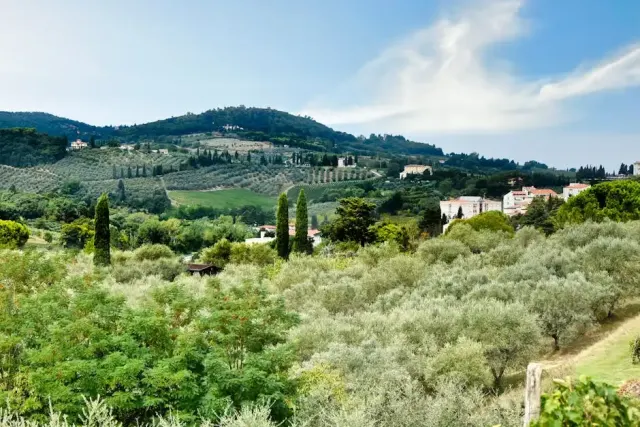 Esplora Capalbio attraverso i suoi sapori autentici