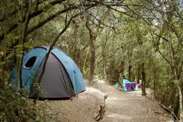 Campeggio La Finoria 1