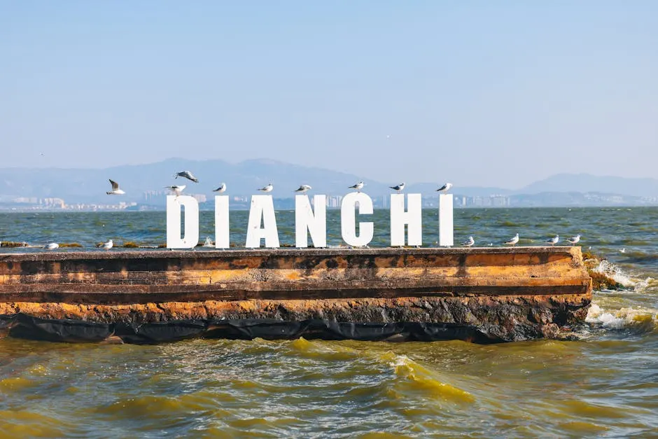 Vista panoramica di Guardistallo sul Mar Tirreno, un luogo ideale per il relax e le attività acquatiche.