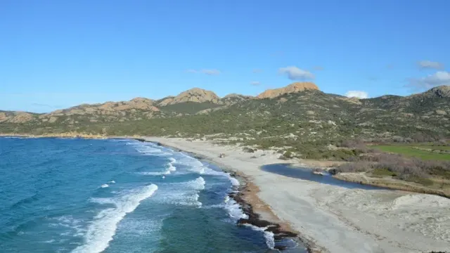Guida alle migliori esperienze marine a Campo nell’Elba
