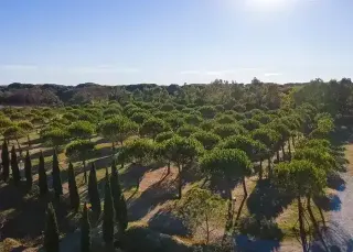 Camping Village Il Gineprino