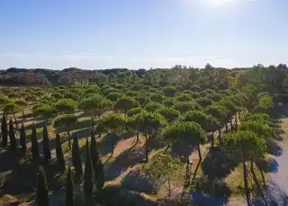 Camping Village Il Gineprino