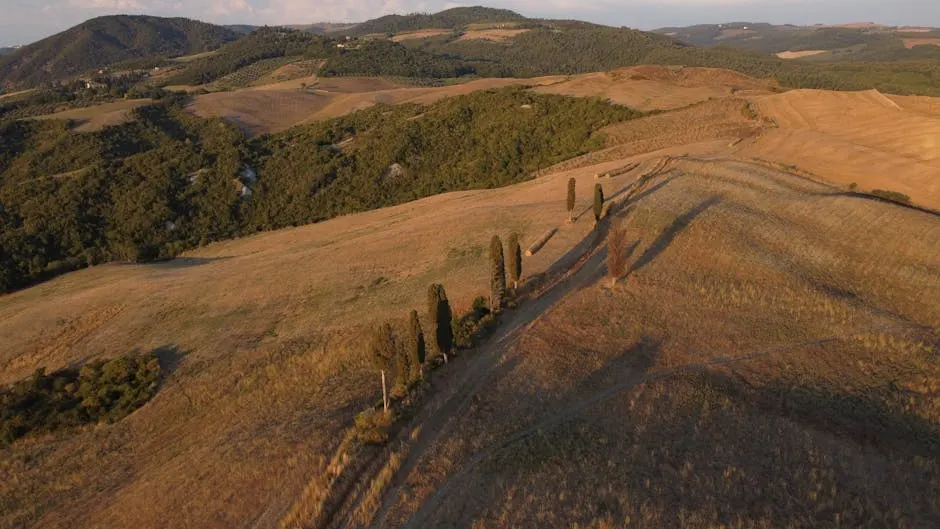 Vista panoramica di Capalbio con colline e mare.