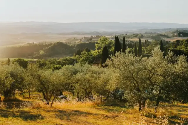 Itinerari a Grosseto tra storia e natura incantevole
