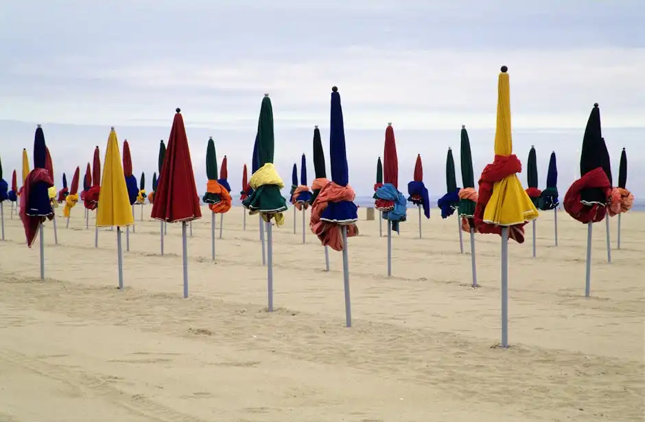 Attività all'aperto