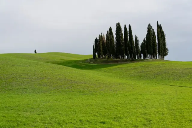 La Regione Toscana pubblica la Carta dei Valori del turismo