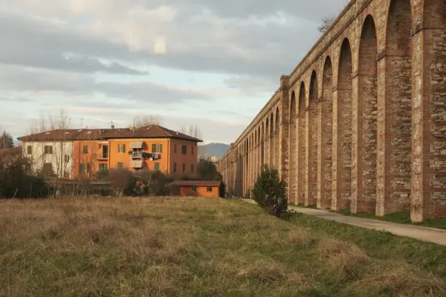 Mare a Bibbona: emozioni e natura da vivere