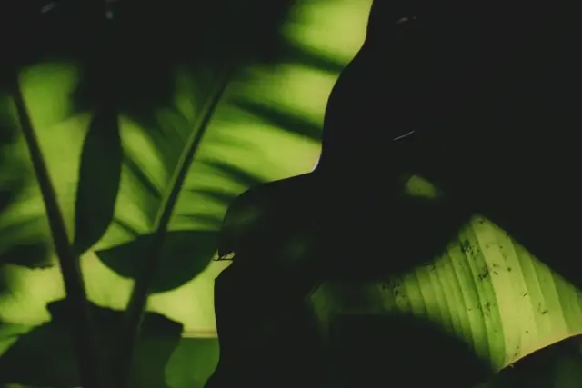 Mare a Camaiore: esperienze al di là delle onde