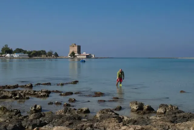 Mare a Cecina: tesori nascosti da esplorare
