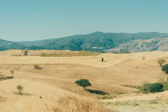Mare a Guardistallo: guida alle attività