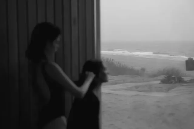 Mare a Guardistallo: tesori nascosti da esplorare