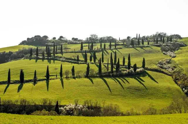 Mare a Livorno: tesori costieri da esplorare