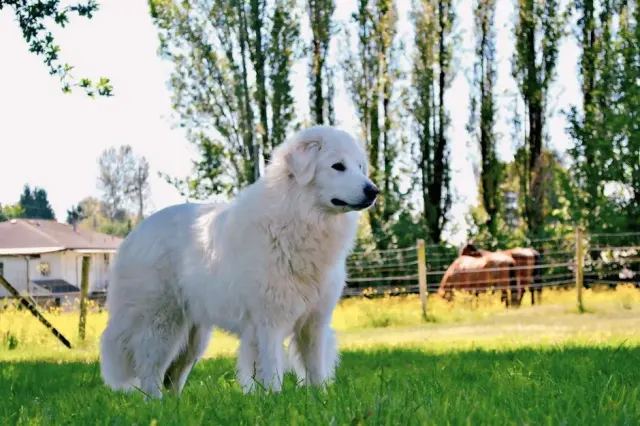Mare a Orbetello: un abbraccio tra cielo e acqua