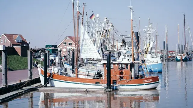 Mare a Porto Azzurro tra relax e avventure