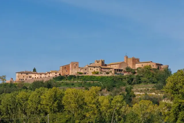 Mare a Viareggio: esperienze pratiche