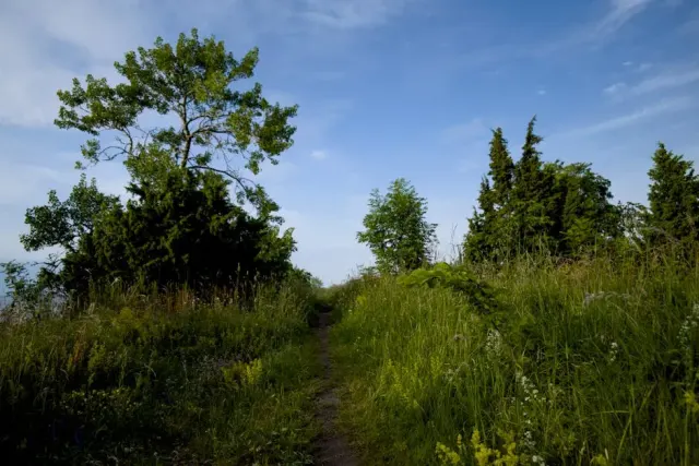 Natura e trekking a Follonica: esperienze, itinerari