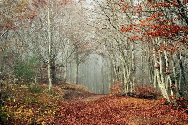 Percorsi nascosti nella natura di Monte Argentario