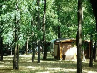 Camping Village Il Fontino