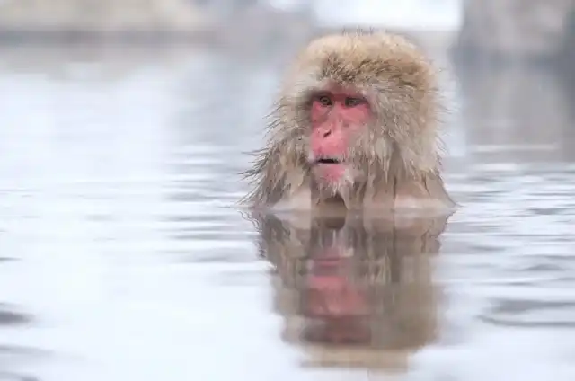 Ritrova il tuo equilibrio nelle Terme delle Colline Metallifere
