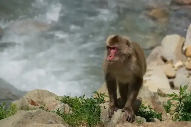 Riviera Apuana: un weekend tra terme e bellezze da esplorare