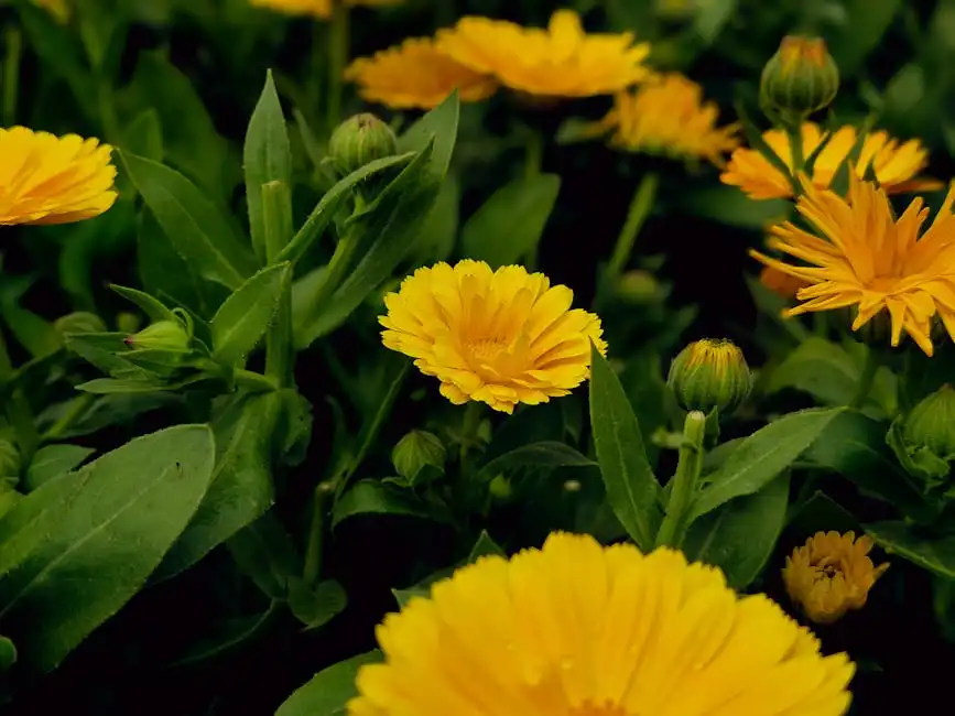 Le spiagge di Marina di Massa