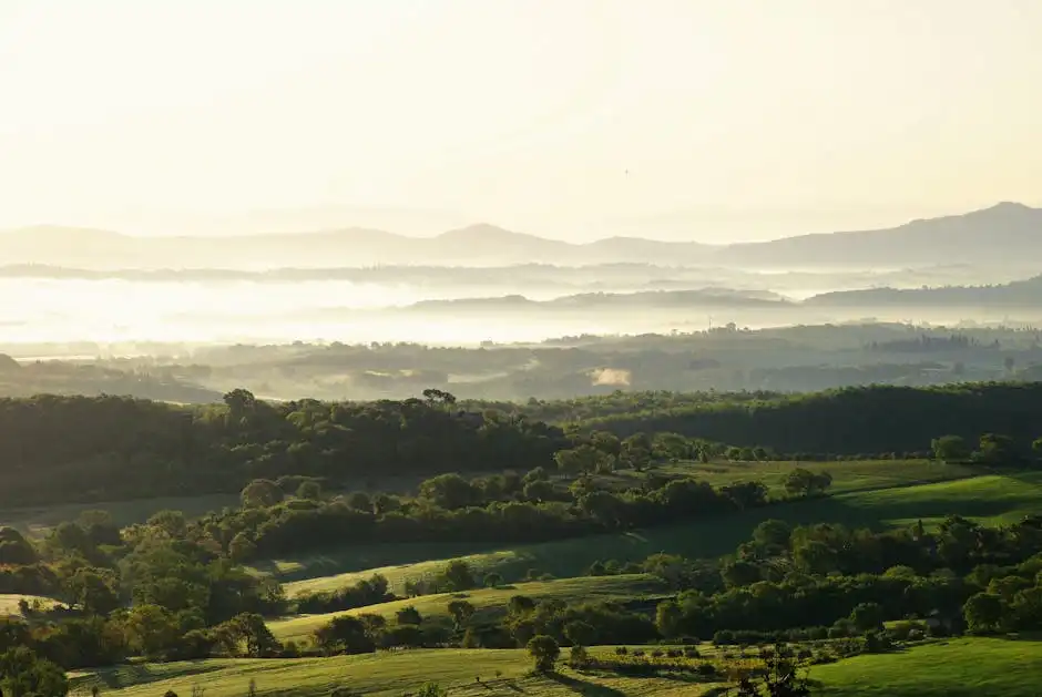 Terme libere ad Arezzo: un viaggio nel benessere naturale