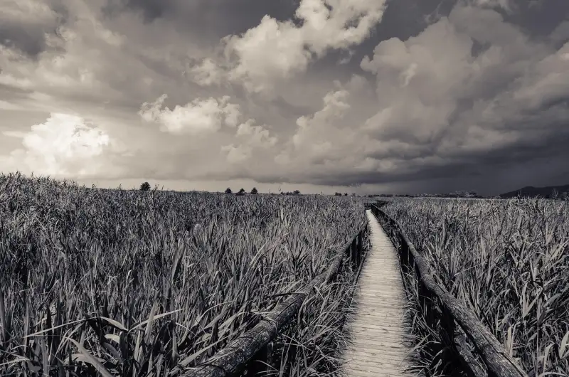 Itinerari slow sul Lago di Massaciuccoli da Viareggio