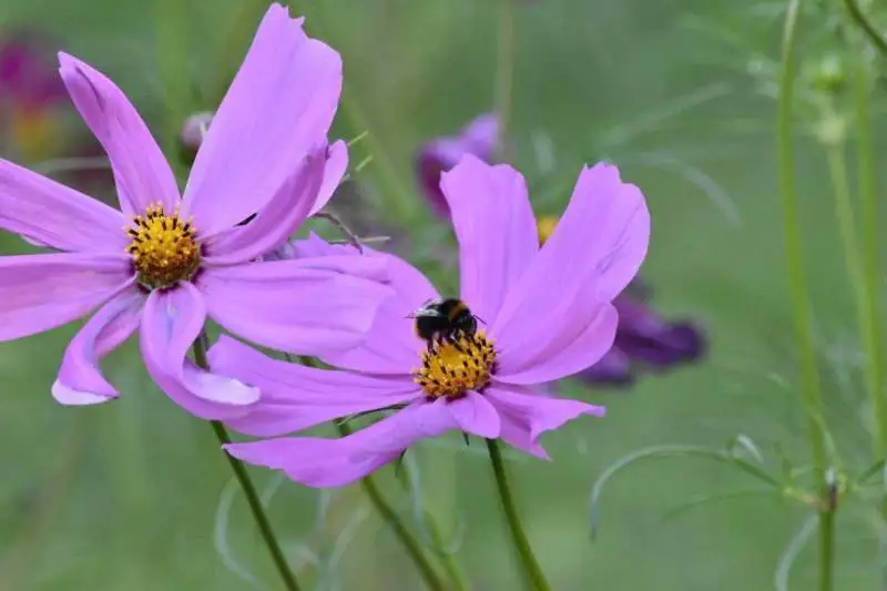Itinerario in Garfagnana: percorso di 2 giorni tra natura, borghi e panorami alpini