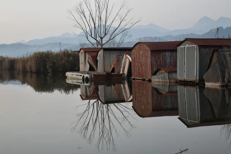 Cosa vedere al Lago di Massaciuccoli: natura, birdwatching e percorsi slow