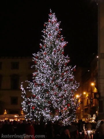 Natale a Firenze: tra botteghe storiche, luci d’artista e sapori locali