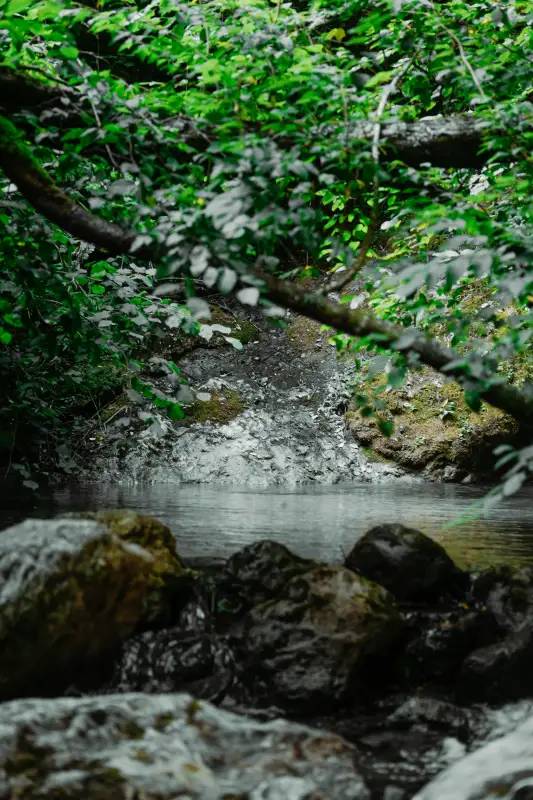 Lido di Camaiore green: piste ciclabili, pinete e passeggiate