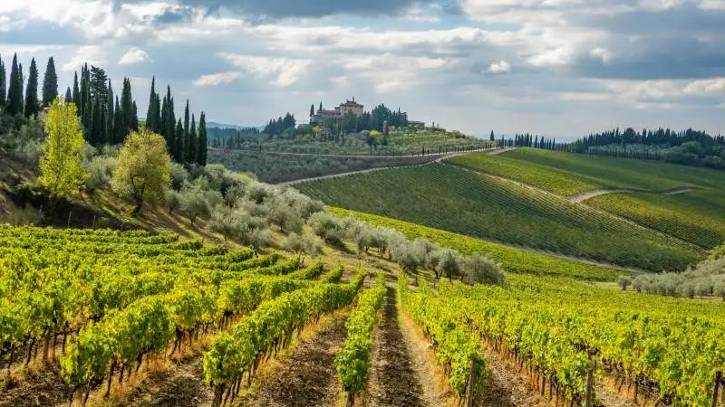 Chianti Senese: itinerari tra vigneti, castelli e borghi da cartolina
