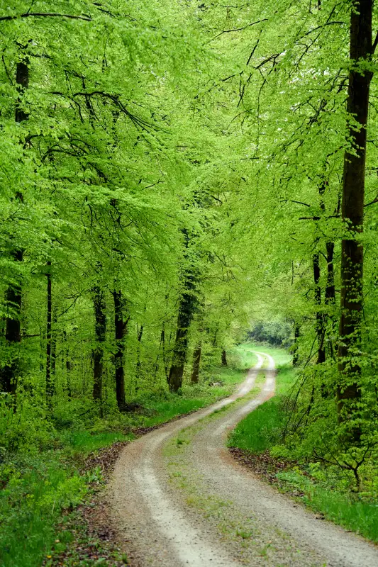 Pietrasanta green: parchi, aree verdi e percorsi slow