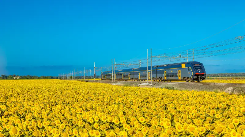 Borghi raggiungibili in treno in provincia di Arezzo